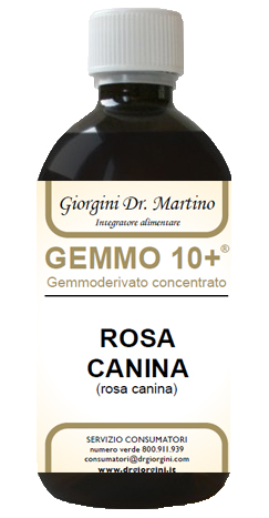 GEMMO 10+ ROSA CANINA LIQUIDO ANALCOLICO 500 ML - Gruppofarmastore.it