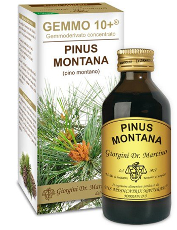 GEMMO 10+ PINO MONTANO 100 ML LIQUIDO ANALCOLICO - Gruppofarmastore.it