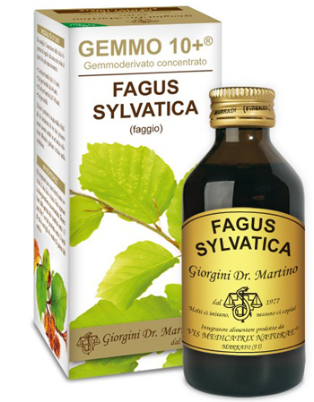 GEMMO 10+ FAGGIO 100 ML LIQUIDO ANALCOLICO - Gruppofarmastore.it