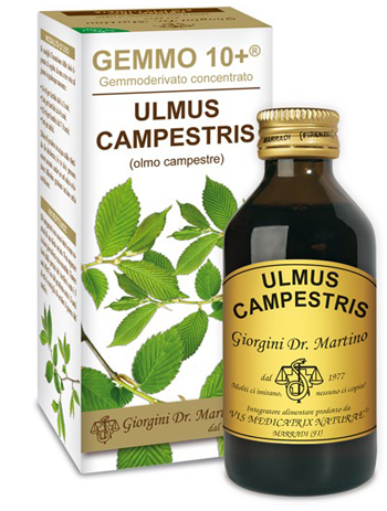 GEMMO 10+ OLMO CAMPESTRE 100 ML LIQUIDO ANALCOLICO - Gruppofarmastore.it