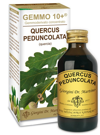 GEMMO 10+ QUERCIA 100 ML LIQUIDO ANALCOLICO - Gruppofarmastore.it