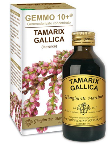 GEMMO 10+ TAMERICE 100 ML LIQUIDO ANALCOLICO - Gruppofarmastore.it