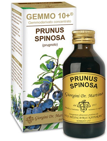 GEMMO 10+ PRUGNOLO 100 ML LIQUIDO ANALCOLICO - Gruppofarmastore.it