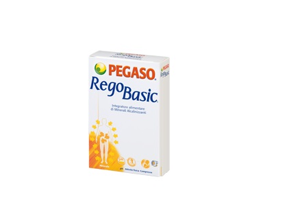 REGOBASIC 12 BUSTINE POLVERE - Gruppofarmastore.it