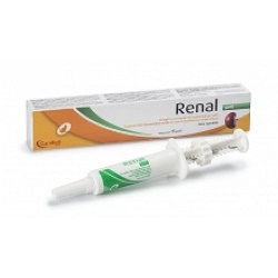 RENAL GATTI PASTA SIRINGA 15 ML - Gruppofarmastore.it