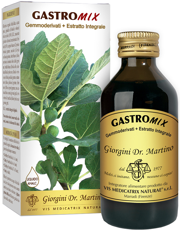 GASTROMIX LIQUIDO ANALCOLICO 100 ML - Gruppofarmastore.it