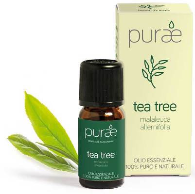 PURAE OLIO ESSENZIALE ALBERO TEA FOGLIE 10 ML - Gruppofarmastore.it