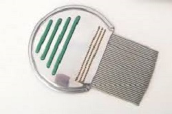 PETTINE ACCIAIO PER RIMOZIONE PIDOCCHI - Gruppofarmastore.it