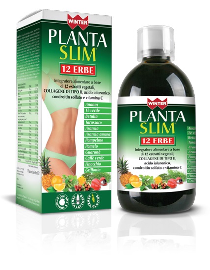 WINTER PLANTA SLIM 12 ERBE 500 ML - Gruppofarmastore.it