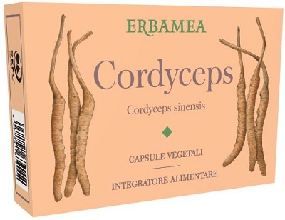 CORDYCEPS 24 CAPSULE VEGETALI - Gruppofarmastore.it