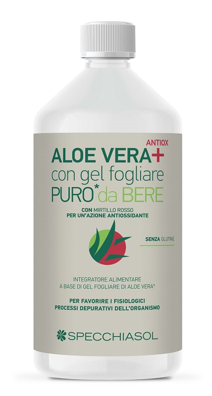 SUCCO ALOEVERA+ ALOE/MIRTILLO ROSSO 1 LITRO - Gruppofarmastore.it