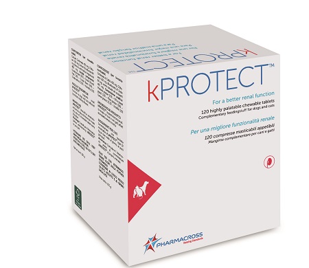 KPROTECT 120 COMPRESSE MASTICABILI - Gruppofarmastore.it