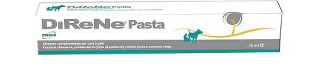 DIRENE PASTA 15 ML - Gruppofarmastore.it