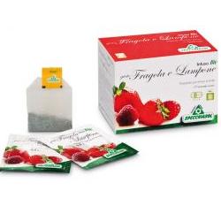 INFUSO FRAGOLA/LAMPONE 20 FILTRI - Gruppofarmastore.it