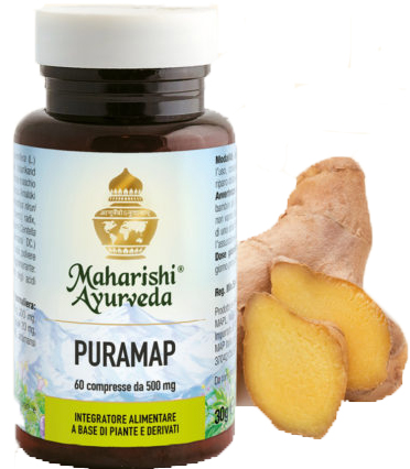 PURAMAP 60 COMPRESSE - Gruppofarmastore.it