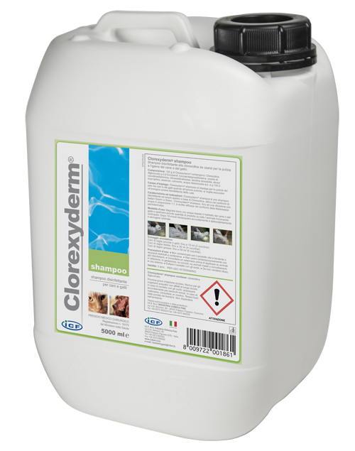 CLOREXYDERM SHAMPOO 5 LITRI - Gruppofarmastore.it