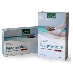 MAGNESIO B6 20 AMPOLLE BEVIBILI DA 15 ML - Gruppofarmastore.it