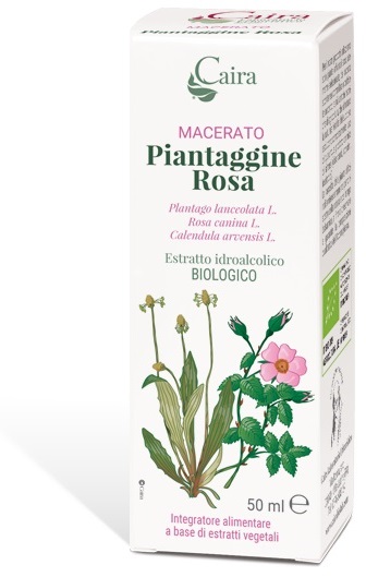 CAIRA PIANTAGGINE ROSA MACERATO IDROALCOLICO GOCCE 50 ML - Gruppofarmastore.it
