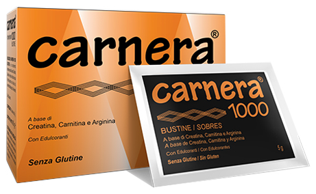 CARNERA 1000 18 BUSTINE - Gruppofarmastore.it