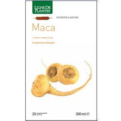 MACA BIO 20 AMPOLLE BEVIBILI DA 15 ML - Gruppofarmastore.it