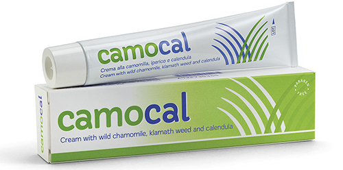 CREMA VEGETALE PER LE AFFEZIONI ANALI CAMOCAL 50 ML - Gruppofarmastore.it
