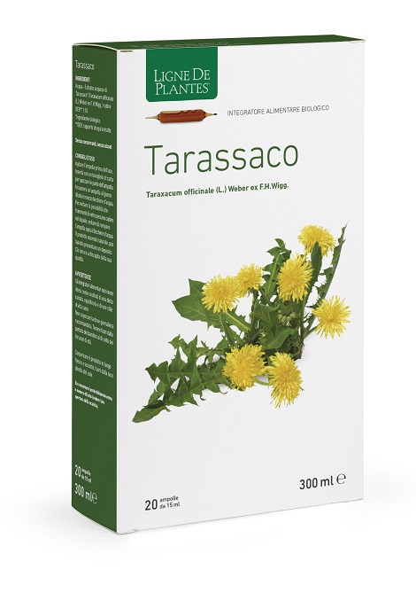 TARASSACO BIOLOGICO 20 AMPOLLE BEVIBILI DA 15 ML - Gruppofarmastore.it