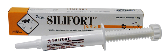SILIFORT PASTA OS SIRINGA 15 G - Gruppofarmastore.it