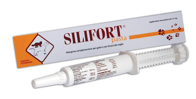 SILIFORT PASTA OS SIRINGA 30 G - Gruppofarmastore.it