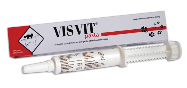 VISVIT PASTA OS SIRINGA 15 G - Gruppofarmastore.it