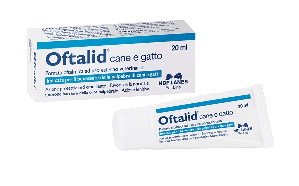 OFTALID POMATA OFTALMICA 20 ML - Gruppofarmastore.it