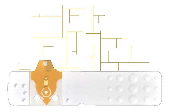 STRISCE MISURAZIONE GLICEMIA LINEA D ORO 25 PEZZI - Gruppofarmastore.it