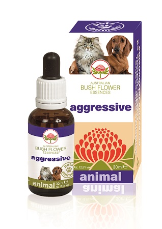 AGGRESSIVE 30 ML - Gruppofarmastore.it