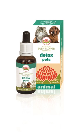 DETOX PETS 30 ML - Gruppofarmastore.it