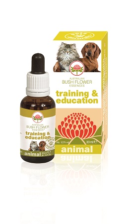 TRAINING & EDUCATION 30 ML - Gruppofarmastore.it