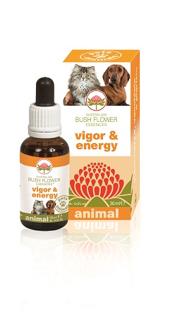 VIGOR & ENERGY 30 ML - Gruppofarmastore.it