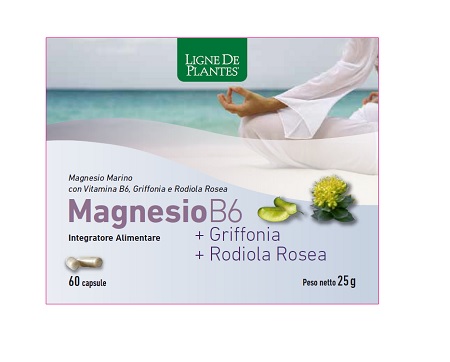 MAGNESIO B6 + GRIFFONIA + RODIOLA 60 CAPSULE - Gruppofarmastore.it