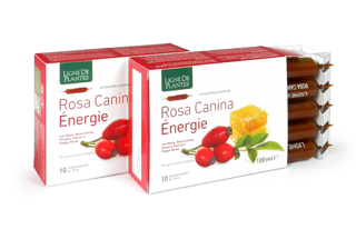 ROSA CANINA ENERGIE BIOLOGICO 10 AMPOLLE BEVIBILI DA 10 ML - Gruppofarmastore.it