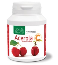 ACEROLA BIO 60 COMPRESSE MASTICABILI 54 G - Gruppofarmastore.it