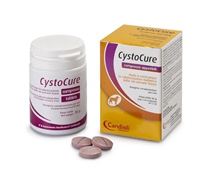 CYSTOCURE FORTE BARATTOLO 30 COMPRESSE - Gruppofarmastore.it
