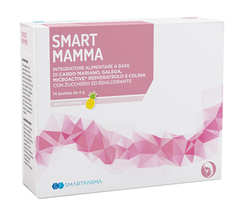 SMART MAMMA 14 BUSTINE GUSTO ANANAS - Gruppofarmastore.it