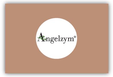 ANGELZYM 30 COMPRESSE MASTICABILI - Gruppofarmastore.it