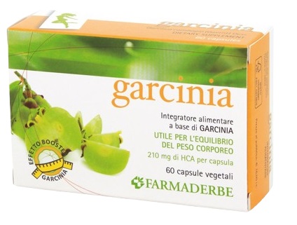 GARCINIA 60 CAPSULE 34,2 G - Gruppofarmastore.it