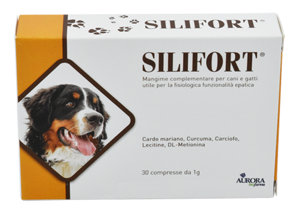 INTEGRATORE ALIMENTARE DETOSSICANTE EPATICO - Gruppofarmastore.it