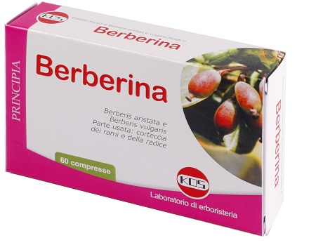 BERBERINA ESTRATTO SECCO 60 COMPRESSE - Gruppofarmastore.it