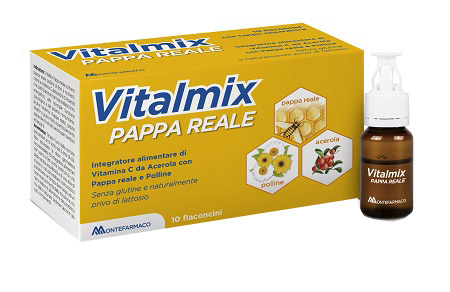 VITALMIX PAPPA REALE 10FLACONCINI X10 ML S/GL - Gruppofarmastore.it