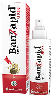 BANZAPID SPRAY TRATTAMENTO 100 ML - Gruppofarmastore.it