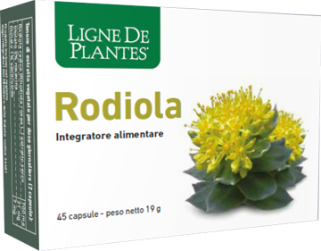 RODIOLA 45 CAPSULE - Gruppofarmastore.it