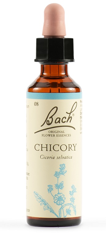 CHICORY BACH ORIG 20 ML - Gruppofarmastore.it