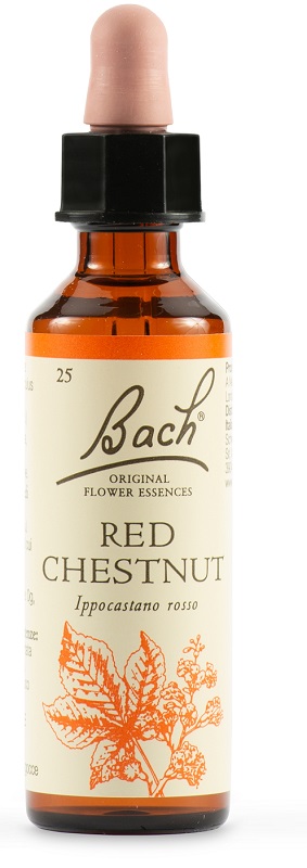 RED CHESTNUT BACH ORIG 20 ML - Gruppofarmastore.it