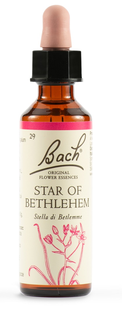 STAR OF BETHL ORIG 20 ML - Gruppofarmastore.it